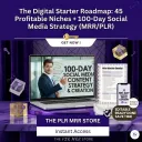 The Digital Business Blueprint: 45 High-Profit Niches + 100 Days of Sales-Ready Strategy to Dominate Your Market (MRR/PLR)